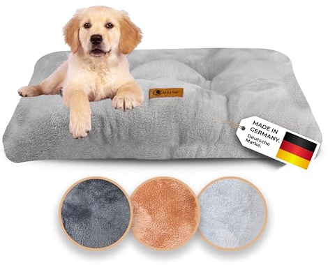 Belune® Hundekissen Deluxe [Hellgrau, S (92cm x 62cm x 12cm)] - waschbar, Hundebett kleine Hunde, Hundekissen kleine Hunde