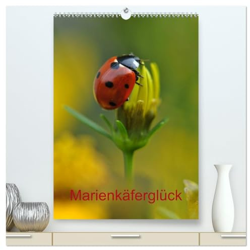 Marienkäferglück (hochwertiger Premium Wandkalender 2026 DIN A2 hoch), Kunstdruck in Hochglanz: Planung ist alles... manchmal aber auch Glückssache! (CALVENDO Tiere)