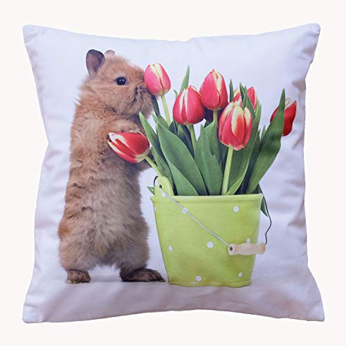 Raebel Kissenbezug Weiche Hülle Kissen Bezug Bezüge Sofakissen Osterkissen Ostern 40 x 40 cm Polyester (Häschen Tulpen Weiß bunt)