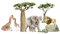 Osomehome | Wandtattoo Kinderzimmer Dschungeltiere | Tiere Wandsticker Jungzimmer | Tropische Wanddeko Babyzimmer | Bäume Wandaufkleber Jugendzimmer | Selbstklebend Tapete | os 4035 115x60cm