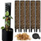 Tutor de Musgo para Monstera, Pothos, Trepaderas, Aroides, Trellis Soporte Plantas – Set 5 Totems de Musgo, Velcro, Musgo Sphagnum – Palos 35 x 6 cm