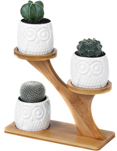 BEAHING Cactus Pot 3 Pcs Succulent Pots with 3 Tiered Plant Stand, Small Owl Ceramic Plant Pots with Drainage Succulent Planters with Bamboo Holder for Office Home Desk Decor Style 1, Succulent Pots