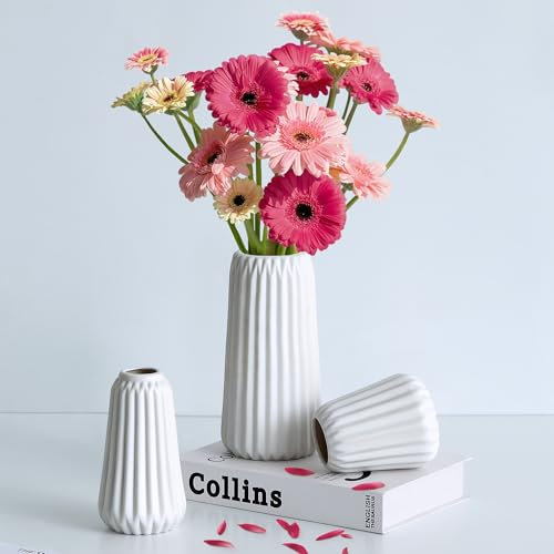 Ordeluxe Set Ceramica, Vaso Ceramica Decorativo per Fiori, Bianco Corto Alto Vasi Moderni Fiori Secchi Decorativi