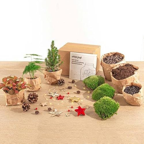 Pacchetto da giardino in bottiglia – Mini albero di Natale – 3 piante – Ricarica & Starter Kit – DIY Natale