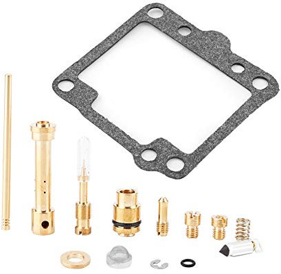 Qiilu Vergaser-Reparatursatz, Savage 650 86-09 15-teiliger Vergaser-Reparatursatz Kfz-Ersatzteile Kraftstoffsystem Vergaserteile-Umbau ls 650 Savage