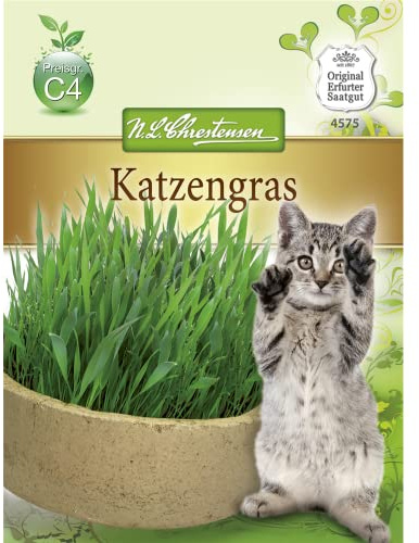 Katzengras für die Katze und den Kater | Natürliches Katzengras zur Unterstützung der Verdauung, mit wertvollen Mineralstoffen und zur Reduzierung von Haarballen