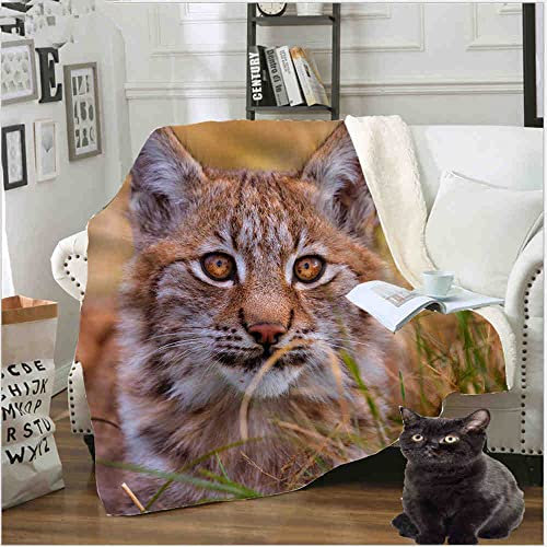 3D-Druck Anime Decke Luchs Dicke Steppdecke Home Sofa Tagesdecke Babydecke Sofabezug Warme Plüsch Plaid Decke