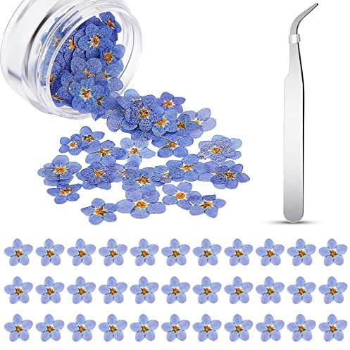 80 Stück Natürlich Vergissmeinnicht Blumen Getrocknete Blumen Vergissmeinnicht Gepresste Blumen Blau Echt Gepresste Blumen mit Ellbogen Pinzette für Harz Kerzen Karte Schmuck Nagel DIY