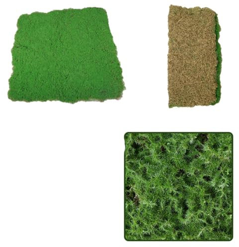 AQCQDQ Künstliche Moos, Weiches Teppich Moosmatte, Moosplatte Deko, Pflanzenteppich Moos Wandbild Paneele Wandverkleidung, Moosbild Wandplatten für Hochzeit, Geburtstag (Gebürstetes,100 * 100 cm)