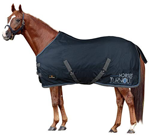 Horses, Pferdekoppeldecke Horses Turnout 200 gr, Wasserdicht, Gepolstert, Widerstandsfähig, mit Kreuzgurten, Blau, 155 cm