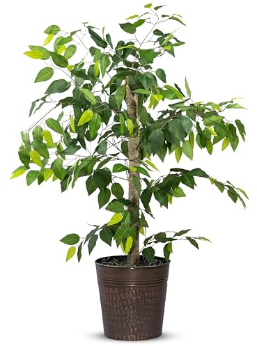 LCG Florals 4 ft Ficus Tree in Copper Metal Pot with Real-Wood Trunk - Indoor and Outdoor Faux Plants for Patio, Living Rooms, Offices & Outdoor Spaces