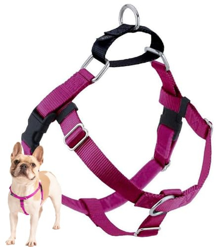2 Hounds Design Freedom Hundegeschirr, kein Ziehen, verstellbares Geschirr und Leine, einfaches Gehen und Bequeme Kontrolle, passend für kleine, mittelgroße und große Hunde, einfarbig, hergestellt in