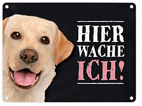 Metallschild mit Labrador Motiv und Spruch: Hier wache ich!