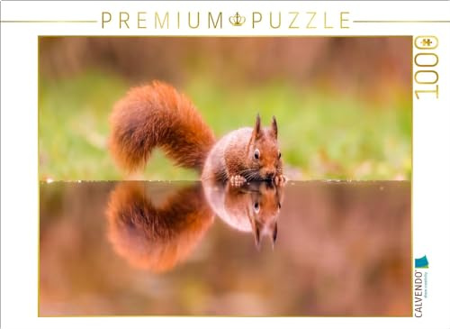 CALVENDO Puzzle Eichhörnchen trinkt und spiegelt Sich im Wasser | 1000 Teile Lege-Größe 64 x 48 cm Foto-Puzzle für glückliche Stunden