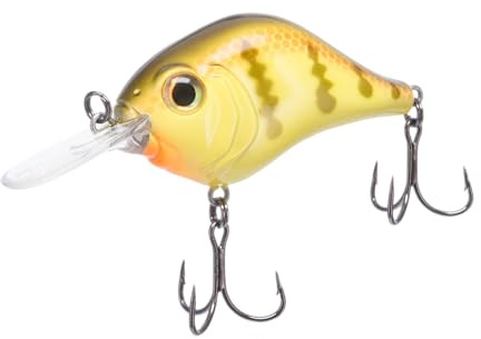 Bill Lewis Lifelike MR-6 Mid-Range MDJ Series 1,8 m Floater Diver 1/56.7 g Crankbait Angelköder für Süßwasser