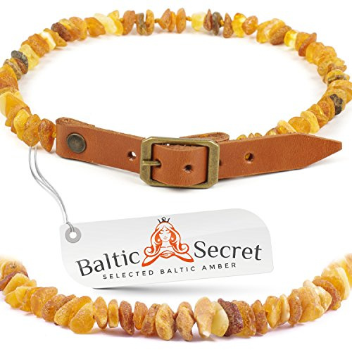 Echte Bernsteinkette für Hund & Katze – Bernstein Halsband mit Verstellbarem Lederband, das deinem Liebling einen einzigartigen Look verleiht. Funkelnd und Trendy! (ORANGE, 22-24 cm)