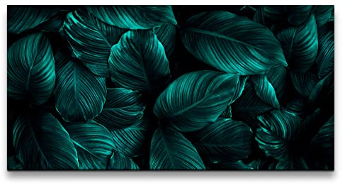 Paul Sinus Leinwandbild 120x60cm Grüne Blätter Dekorativ Pflanzen Kunstvoll Fotokunst Dunkel