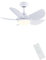 Newday Ceiling Fan with Lights, 30'' Small Modern Ceiling Fan with 5 Reversible Blades, Remote Controls, Adjustable Color Temperature for Indoor, White