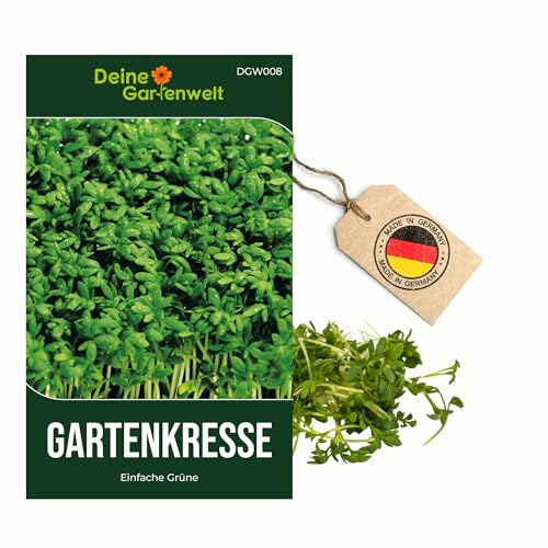 Gartenkresse „Einfache Grüne“ Samen – Kresse Samen - Kressesamen Lepidium sativum – Kräutersamen Saatgut für ca. 1.000 Pflanzen – Deine Gartenwelt – 3er Pack