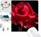 dark red roses, des fleurs cadeau de noël maison tapis de souris