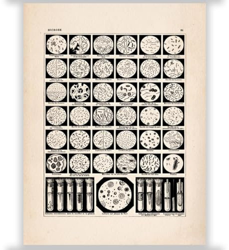 KSHAO ATHQW Biologie-Poster, Mikroben, Ausstellung, Wandkunst, Bakterien, Leinwand, Gemälde für Raumunterricht, Dekoration, Bilder, 20 x 30 cm x 1, ohne Rahmen