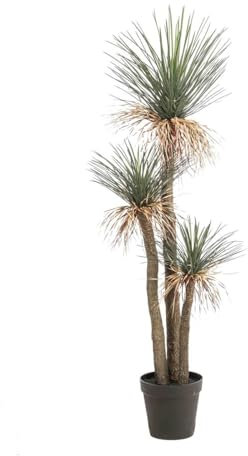 artplants.de Konstgjord palm Yucca rostrata Denali i dekorativ kruka