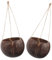 HANABASS 2pièces Pot De Fleurs Suspendu Coque De Naturelle Panier Décoratif pour Plantes Intérieur Et Extérieur pour Balcons Et Jardins Résistant Aux Intempéries