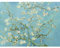 Fine Art Prints Vincent Van Gogh Mandelblüte, großer Kunstdruck, Wanddekoration, Premium-Wandbild