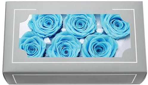 Têtes de Roses Éternelles Haut de Gamme Naturelles (5-6cm) – Durée 3-5 Ans, Déco Maison, Cadeaux Festifs, DIY – sans Entretien & Écologique (Bleu Ciel)