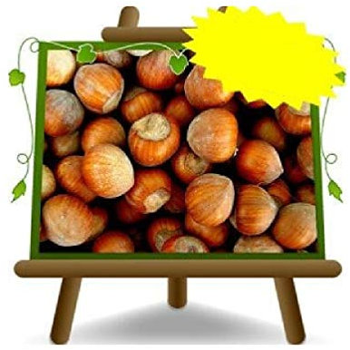 Tonda Gentile Trilobata Avellana Frutas Antiguas Árboles frutales Altura: 180 ~ 200 cm Edad: 4 años Jarrón: Diámetro 26 cm