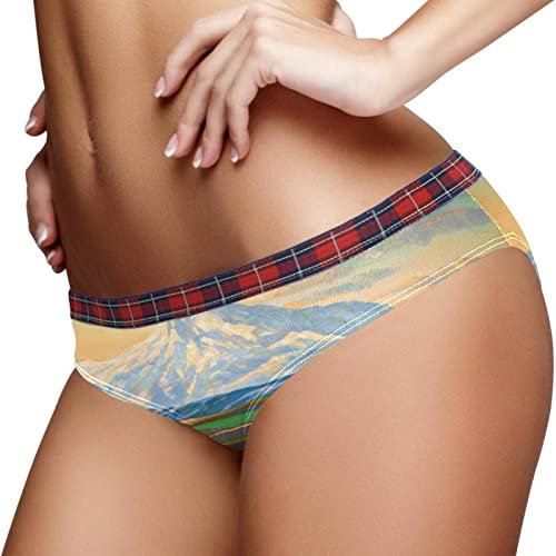 Culotte hipster pour femme - Respirante - Extensible - Doux - Respirant - Peintures à l'huile - Chevaux de montagne, multicolore, L