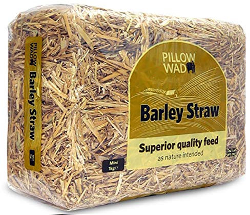 Pillow Wad - BARLEY STRAW - 1kg x1