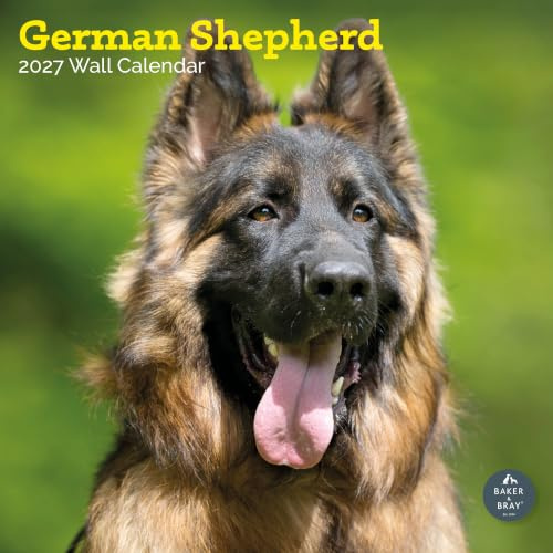 Deutscher Schäferhund Kalender 2024 | Quadratischer Wandkalender | 16 Monate | Baker and Bray