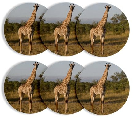 Untersetzer aus rundem Korkboden - Foto von Giraffe Natur Savanne Wildtiere – 6 Stück (95 x 95 mm)