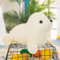 Kuscheltier Seehund Robbe, Chubby Blob Seal Kissen, Plüschtier Robbe, Siegel Plüschtier Robbe, Chubby Seal Pillow, Plüsch Robbe Kissen, Stuffed Cotton Plush Animal Toy (30cm,Weiß)