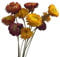 10 Uds Ramos de Flores Secas Naturales 23 6 Pulgadas Flor Seca Para Arcos De Ramo De Boda Fotografía Decoración Del Hogar Flores De Paja Seca