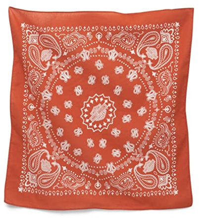 HARLEY-DAVIDSON Mouth Nose Bandana American Heritage Biker Motorcycle Scarf Biker Scarf Multifunctional Scarf Head Scarf, orange, One Size
