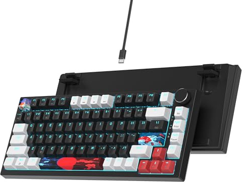 Ussixchare 75 % mechanische Gaming-Tastatur, Dichtung, Halterung, Tastatur, kabelgebunden, Hot-Swap-fähige Tastatur, RGB-Hintergrundbeleuchtung, TKL-Tastatur für PC, Laptop, Windows, Gamer, Schwarz