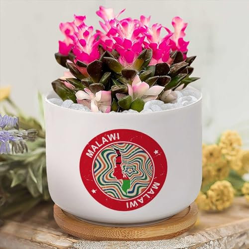 Yelolyio Sukkulententententöpfe mit Drainage, Malawi-Flagge, personalisierbar, für den Garten, Malawi-Blumentopf, Keramiktöpfe für Pflanzen, kleine Blumentöpfe, Kaktus-Töpfe, Sukkulenten-Übertöpfe