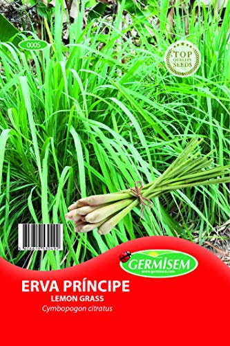 Germisem Grass - Zitronengras EC0005 mehrfarbig