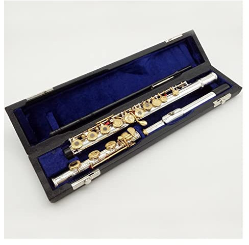 Zengxue Querflöte Anfänger 17 Gold Keys Flöte Gravur Hand Geschnitzte Schlüssel Vergoldung Räuber B Bein Offene Löcher