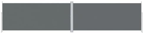 vidaXL Toldo lateral extensible antracita 220 x 1000 cm