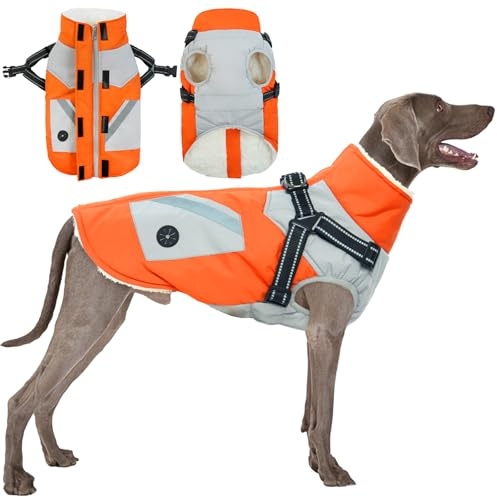 Hundemantel für Große Hunde, Hundejacke Große Hunde mit Geschirr Wasserdichter Warmer Wintermantel für Grosse Hunde mit Reflektierender Streifen & D-Ring(Orange, 2XL)