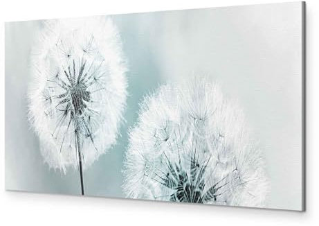 murando - Akustikbild Pusteblume Bilder Akustikschaum Hochleistungsschallabsorber Schallschutz Leinwand 1 tlg Wandbild Raumakustik Schalldämmung Blumen Natur grau b-B-0223-b-d