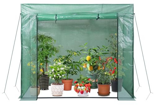 ISOISL Gewächshaus Foliengewächshaus Tomatengewächshaus aus Stahl mit 140g/㎡ PE-Plane Pflanzenhaus für Gemüse, Blumen, Pflanzen, 200*80*170CM, Grün