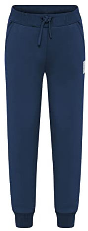 LEGO Wear Unisex Wear Jungen Jogginghose, Sweatpant Lwparaw 604 Freizeithose, 590, 146 EU