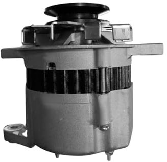 Molloparts LR135-86 8944237560 Lichtmaschine 12V kompatibel mit Isuzu Motor 4BD1 4BG1 Kompatibel mit Hitachi Bagger EX40 EX45 Kompatibel mit Iseki Traktor TE3210 TL1700