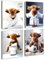JINZUNRUI JZR Badezimmer Deko Bilder, Gäste Bad Poster A4 Wandbilder, Lustige Badezimmer Bild mit Rahmen Toilette WC Deko Bilder Toilette Wand Deko, Schottische Hochland Kuh Badezimmer Bilder -20x25cm