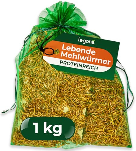 Legona Lebende Mehlwürmer, 1 kg Futterinsekten für Reptilien und Hühner | Lebendfutter aus Tenebrio-molitor-Zucht, für Reptilien, Geflügel, Wildvögel und Fische