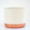 Thompson & Morgan Two-Tone White & Rose Gold Medium Ceramic Plant Flower Pot Round Modern Design for Indoor House Plants Succulents 1 x Medium White & Rose Gold Ceramic Pot